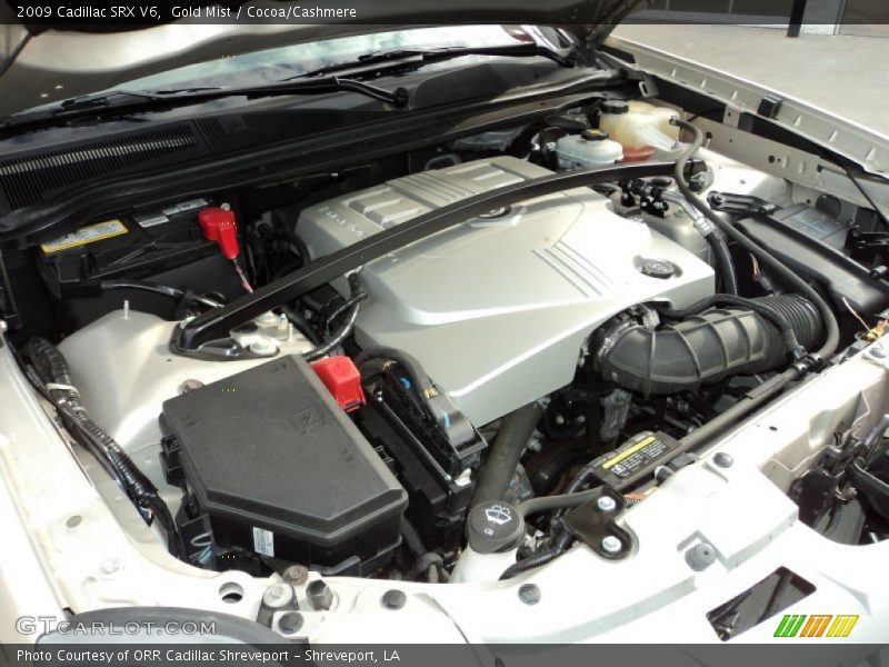 Gold Mist / Cocoa/Cashmere 2009 Cadillac SRX V6