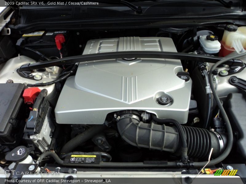 Gold Mist / Cocoa/Cashmere 2009 Cadillac SRX V6