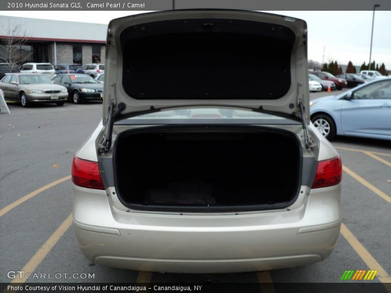 Camel Pearl / Camel 2010 Hyundai Sonata GLS