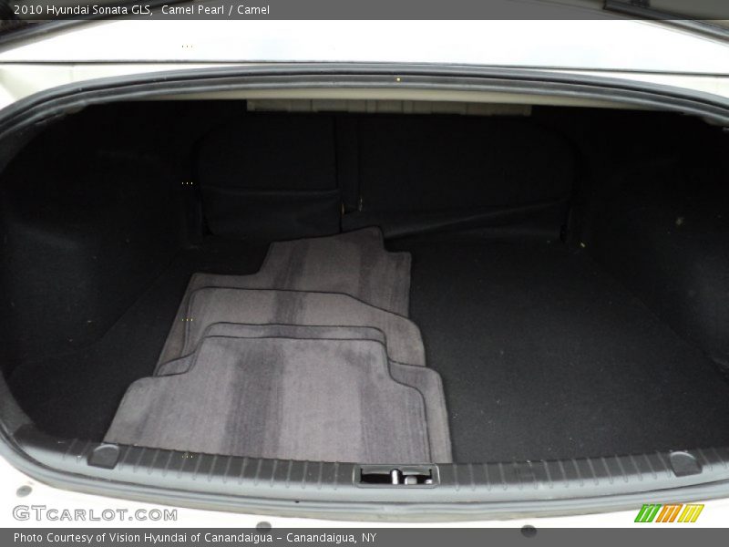 Camel Pearl / Camel 2010 Hyundai Sonata GLS
