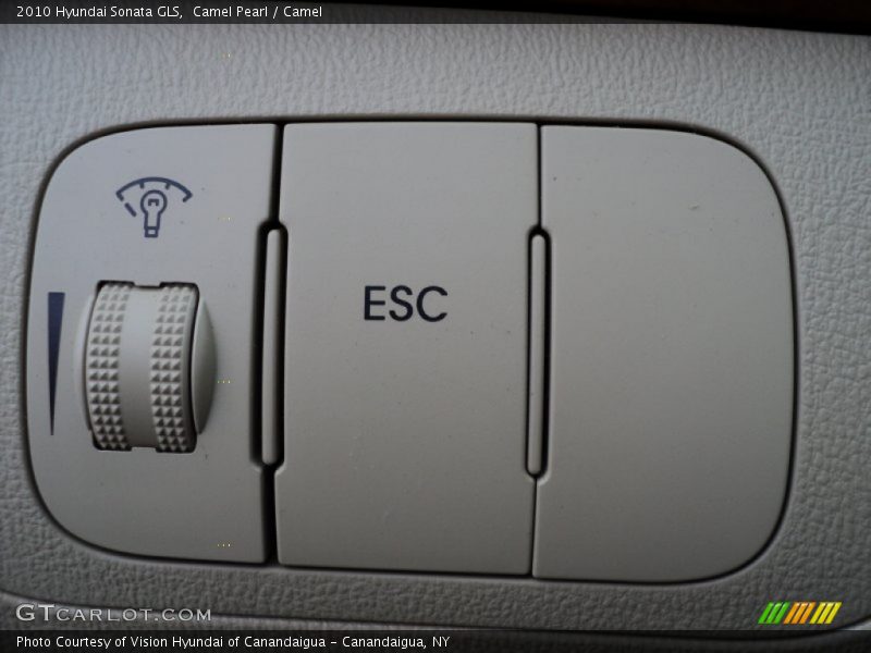 Camel Pearl / Camel 2010 Hyundai Sonata GLS