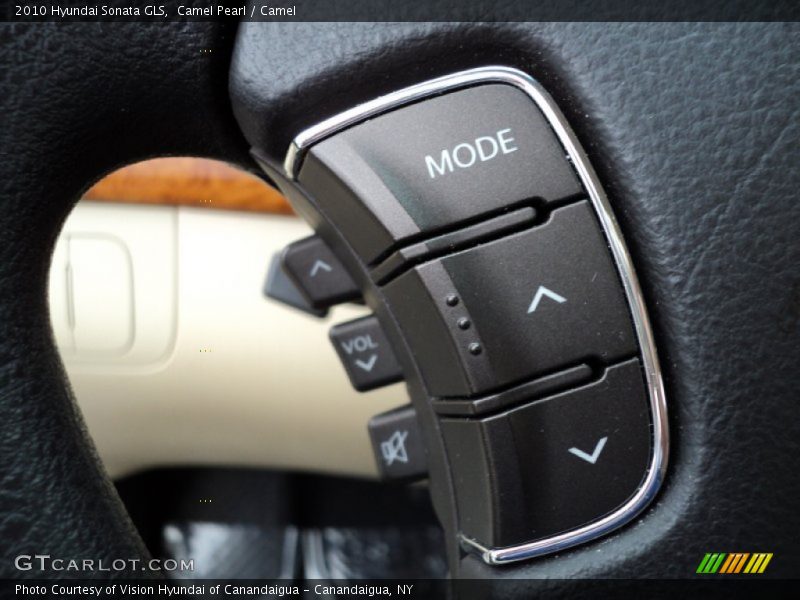 Camel Pearl / Camel 2010 Hyundai Sonata GLS