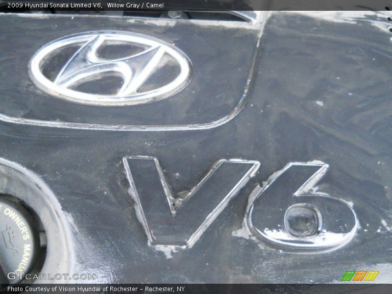 Willow Gray / Camel 2009 Hyundai Sonata Limited V6