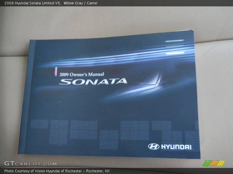 Willow Gray / Camel 2009 Hyundai Sonata Limited V6