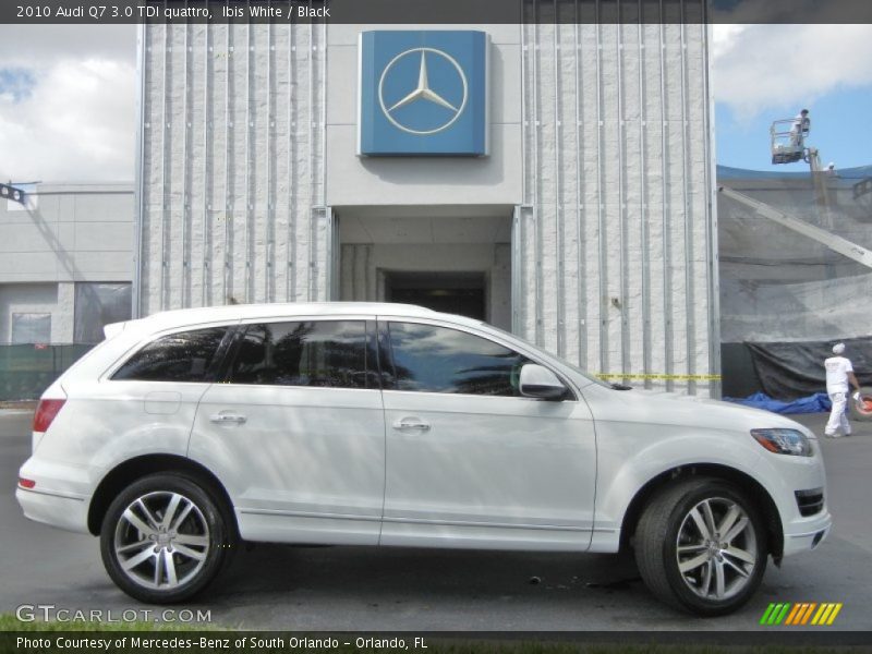 Ibis White / Black 2010 Audi Q7 3.0 TDI quattro