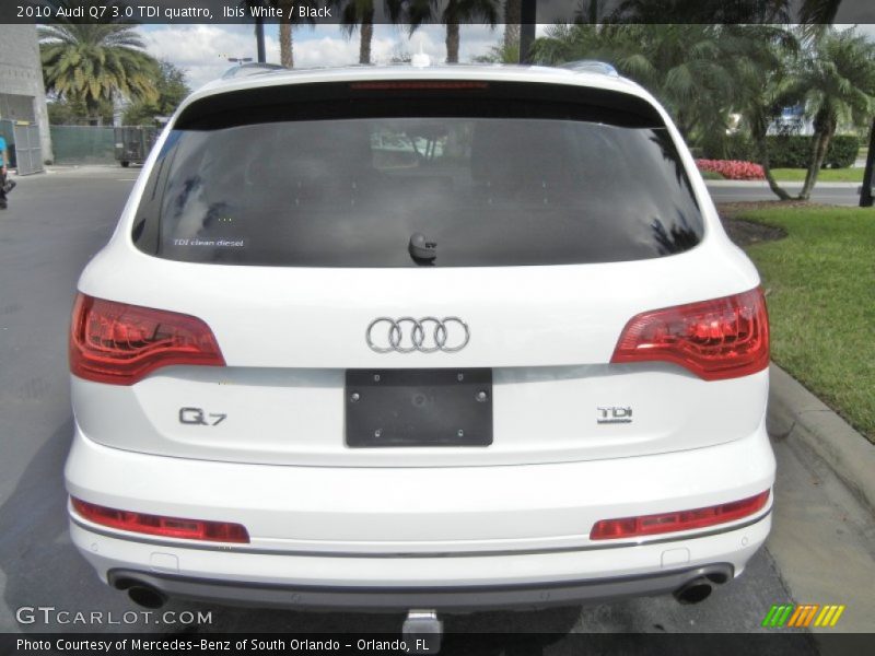 Ibis White / Black 2010 Audi Q7 3.0 TDI quattro