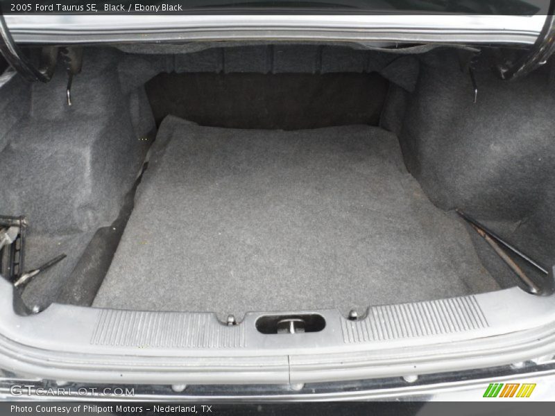 Black / Ebony Black 2005 Ford Taurus SE