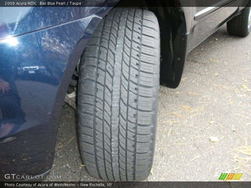 Bali Blue Pearl / Taupe 2009 Acura MDX