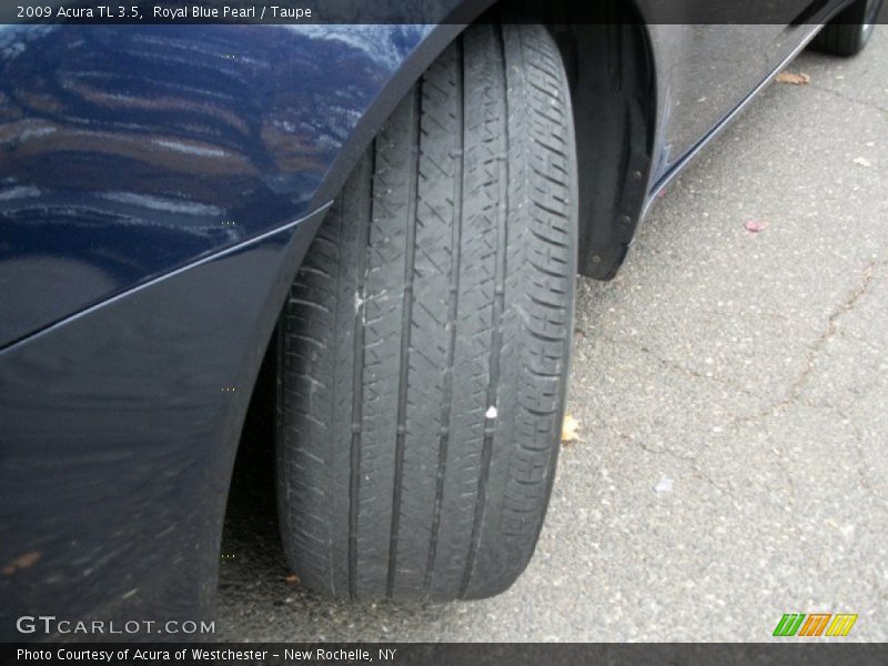 Royal Blue Pearl / Taupe 2009 Acura TL 3.5