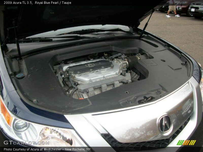 Royal Blue Pearl / Taupe 2009 Acura TL 3.5