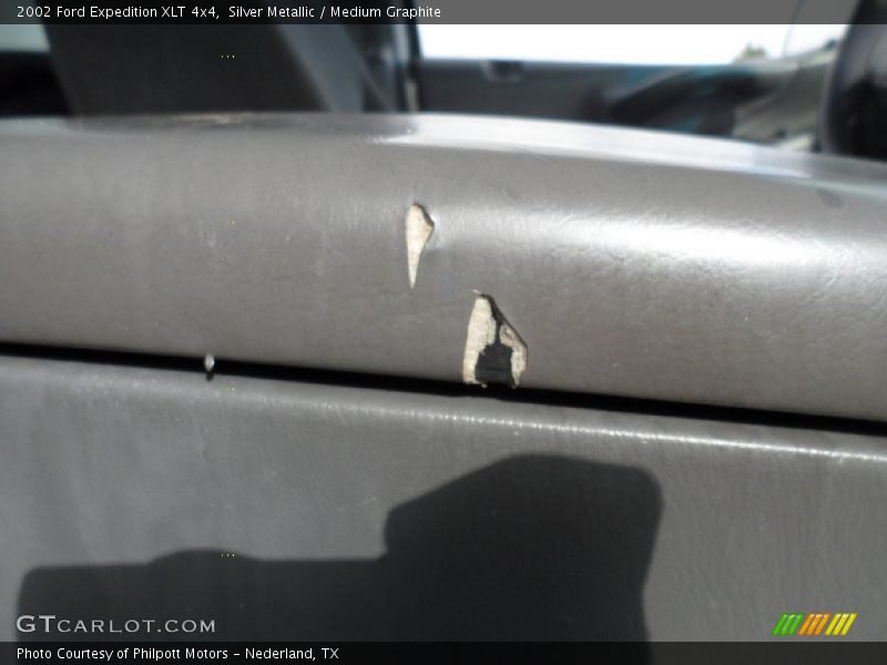 Silver Metallic / Medium Graphite 2002 Ford Expedition XLT 4x4