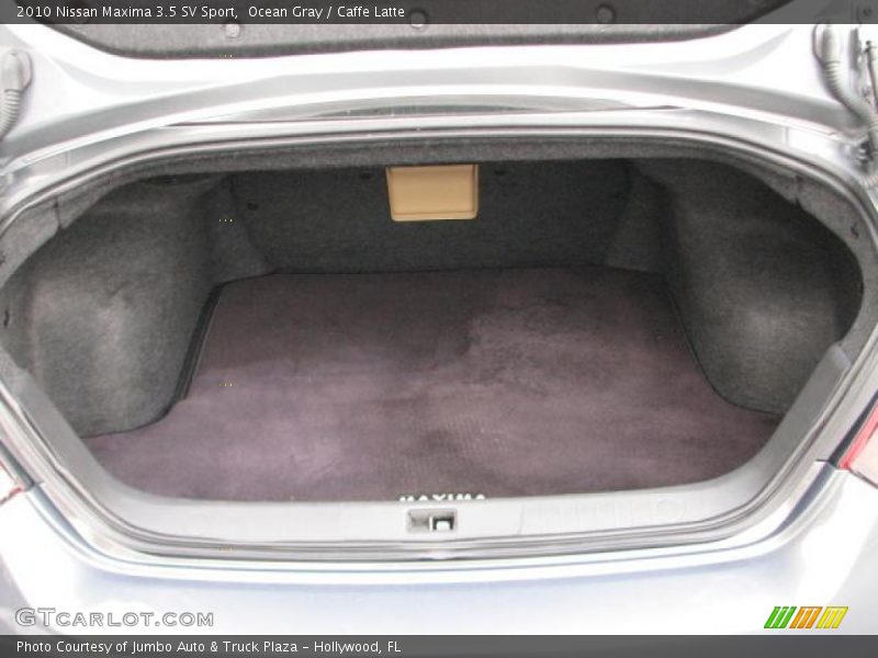 Ocean Gray / Caffe Latte 2010 Nissan Maxima 3.5 SV Sport