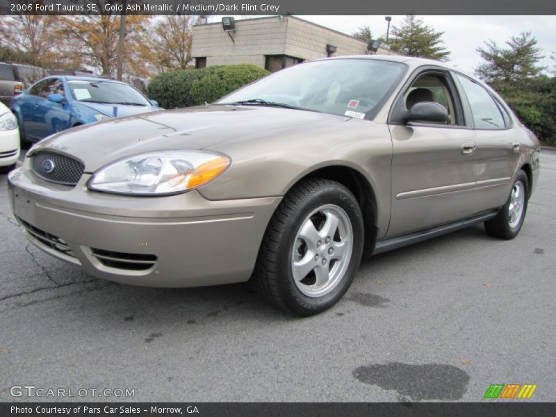 Gold Ash Metallic / Medium/Dark Flint Grey 2006 Ford Taurus SE