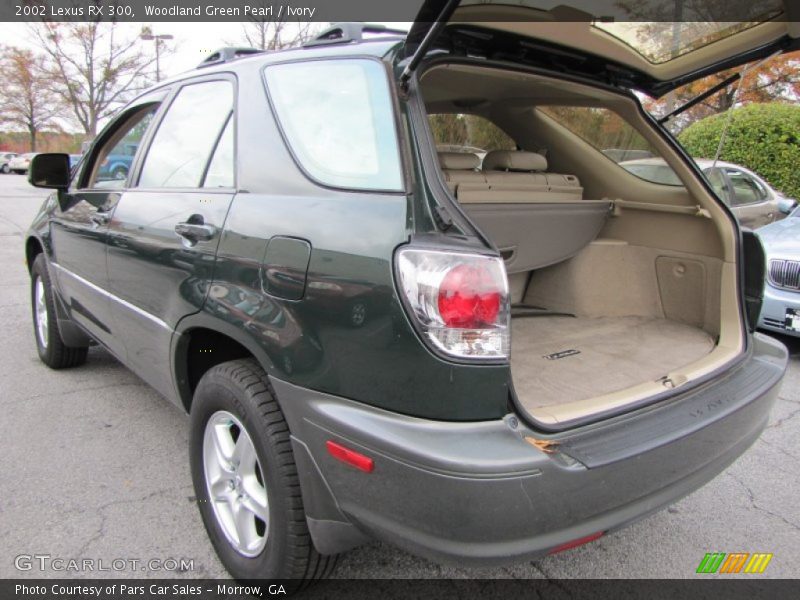 Woodland Green Pearl / Ivory 2002 Lexus RX 300