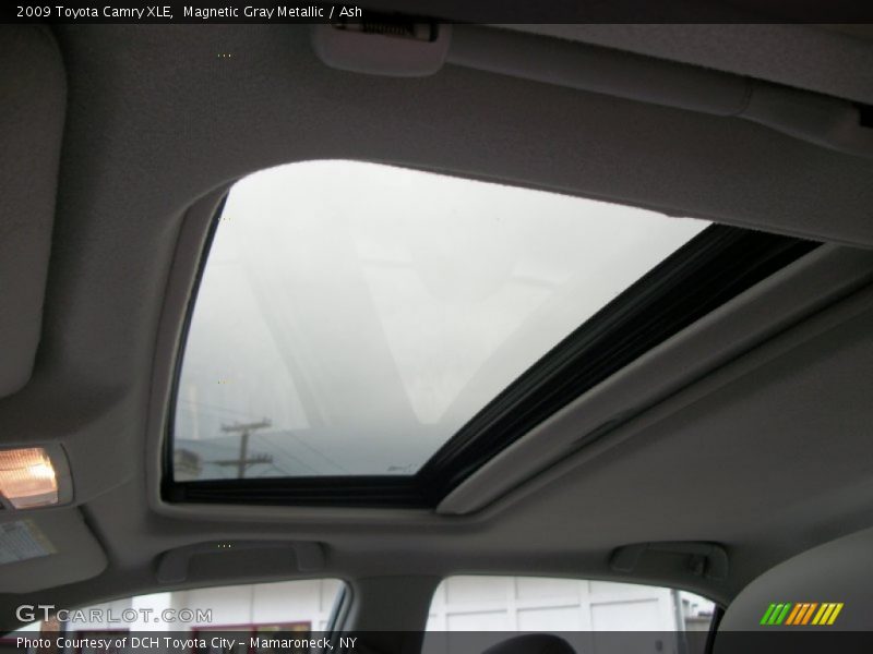 Magnetic Gray Metallic / Ash 2009 Toyota Camry XLE