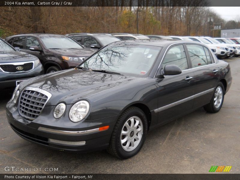 Carbon Gray / Gray 2004 Kia Amanti