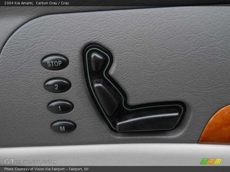 Carbon Gray / Gray 2004 Kia Amanti