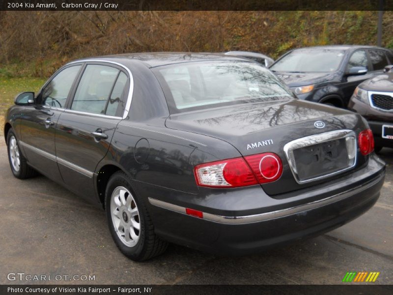 Carbon Gray / Gray 2004 Kia Amanti