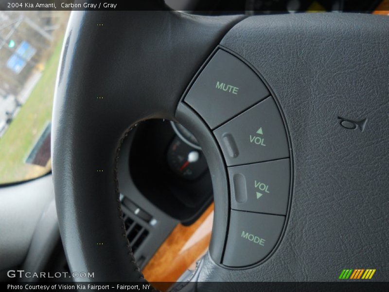 Carbon Gray / Gray 2004 Kia Amanti