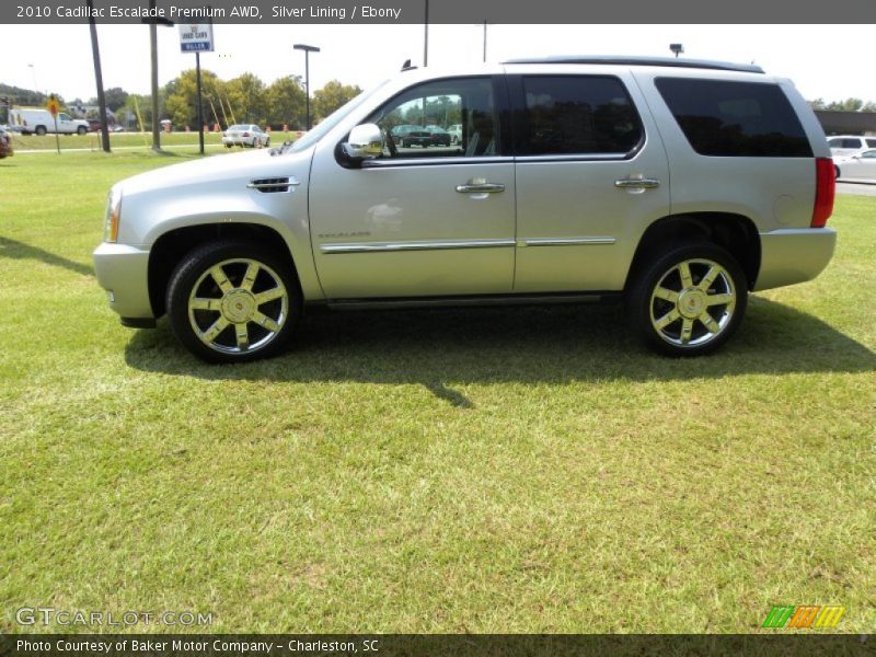 Silver Lining / Ebony 2010 Cadillac Escalade Premium AWD