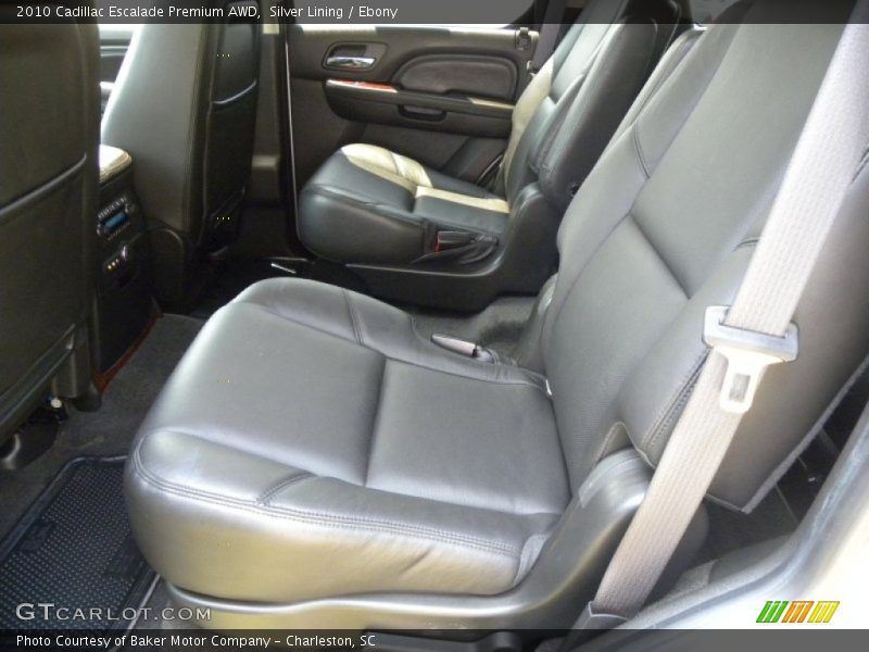 Silver Lining / Ebony 2010 Cadillac Escalade Premium AWD