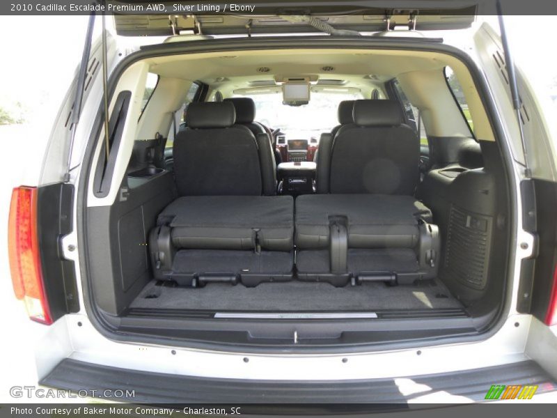Silver Lining / Ebony 2010 Cadillac Escalade Premium AWD