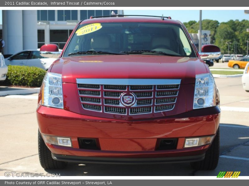 Infrared Tincoat / Cashmere/Cocoa 2011 Cadillac Escalade