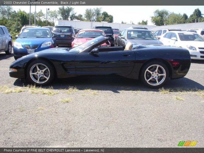 Black / Light Oak 2003 Chevrolet Corvette Convertible