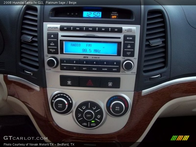 Platinum Sage / Beige 2008 Hyundai Santa Fe GLS