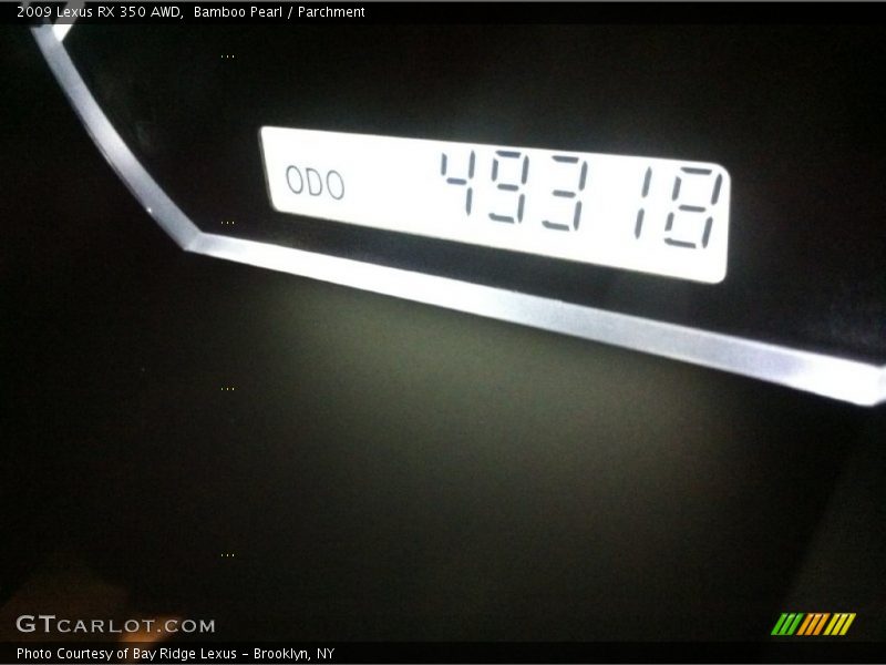 Bamboo Pearl / Parchment 2009 Lexus RX 350 AWD