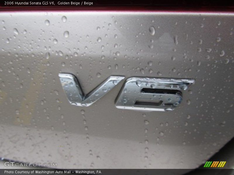 Golden Beige / Beige 2006 Hyundai Sonata GLS V6