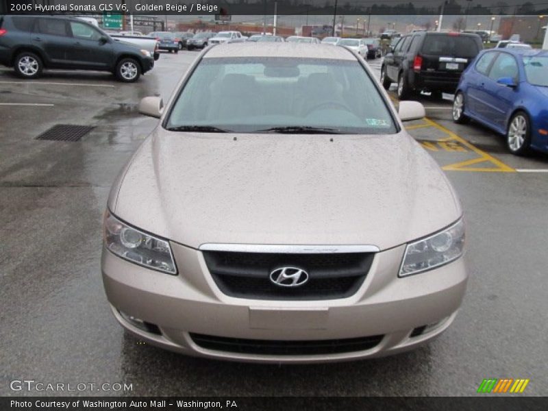 Golden Beige / Beige 2006 Hyundai Sonata GLS V6