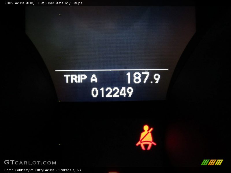 Billet Silver Metallic / Taupe 2009 Acura MDX