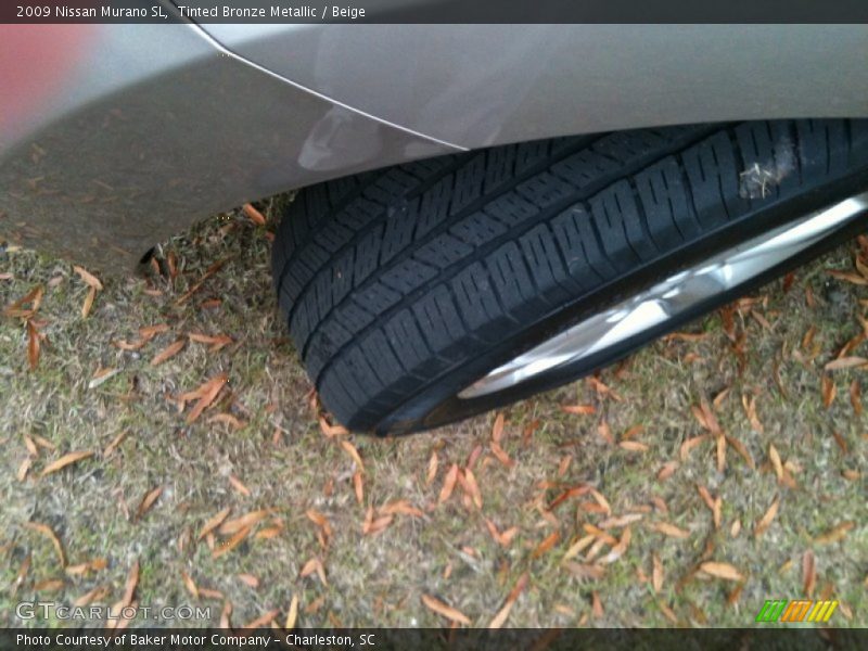 Tinted Bronze Metallic / Beige 2009 Nissan Murano SL