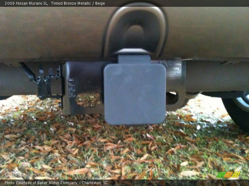 Tinted Bronze Metallic / Beige 2009 Nissan Murano SL