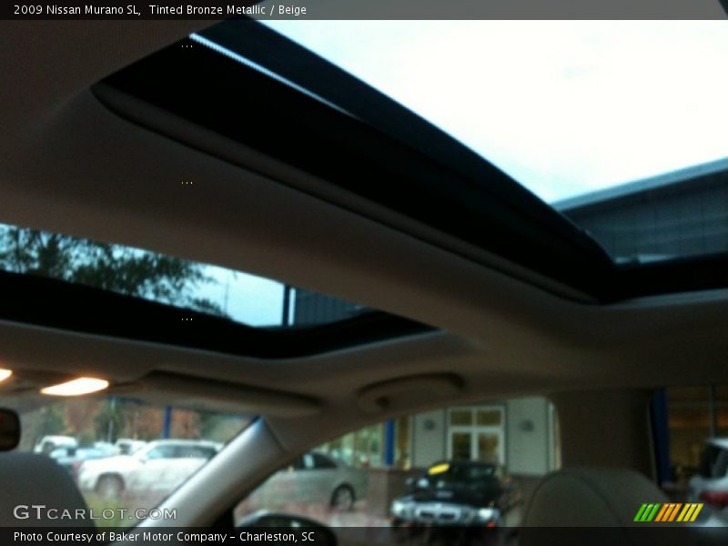 Tinted Bronze Metallic / Beige 2009 Nissan Murano SL