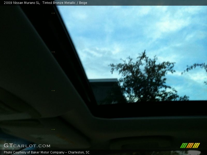 Tinted Bronze Metallic / Beige 2009 Nissan Murano SL