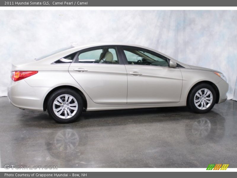 Camel Pearl / Camel 2011 Hyundai Sonata GLS