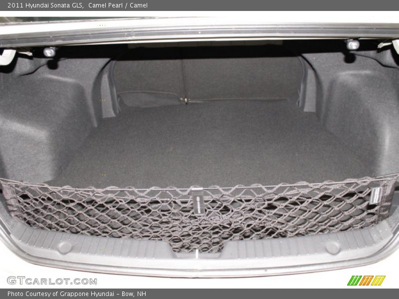 Camel Pearl / Camel 2011 Hyundai Sonata GLS