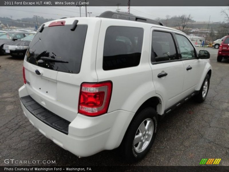 White Suede / Camel 2011 Ford Escape XLT 4WD
