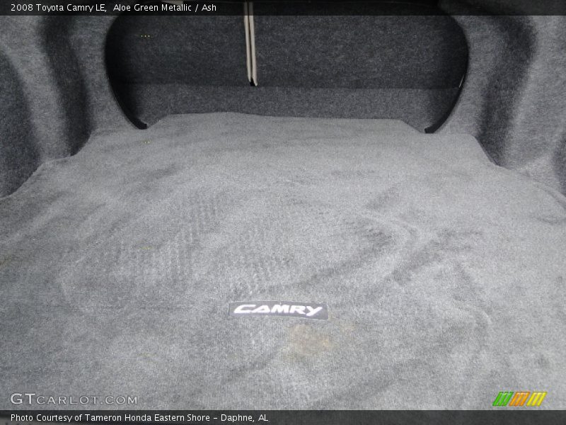 Aloe Green Metallic / Ash 2008 Toyota Camry LE