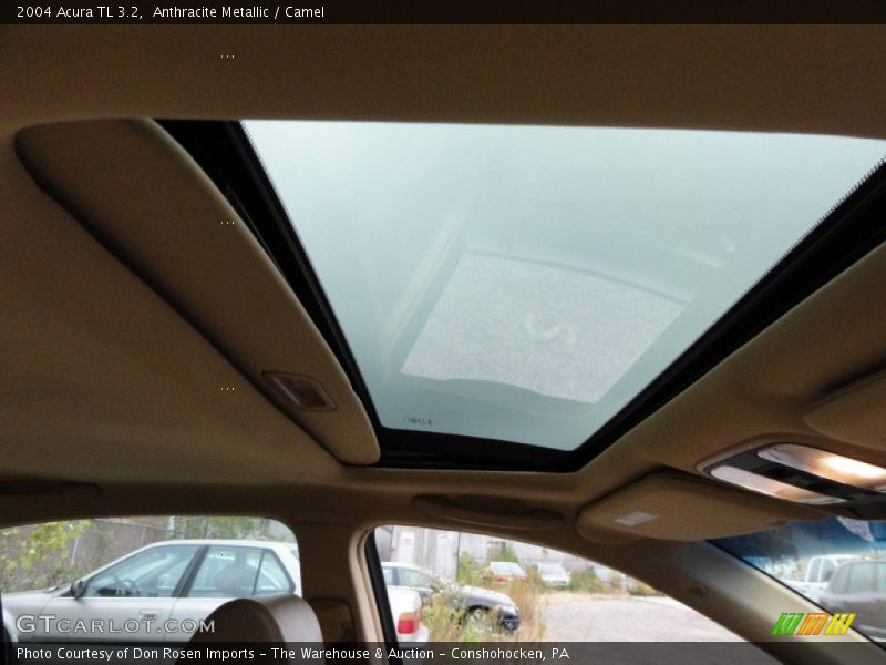 Anthracite Metallic / Camel 2004 Acura TL 3.2