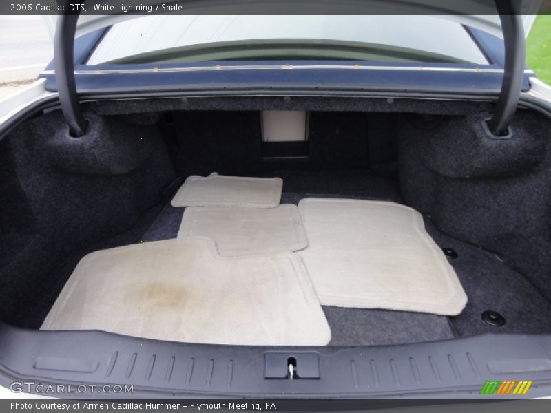 White Lightning / Shale 2006 Cadillac DTS