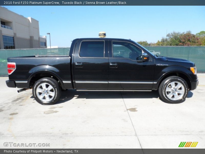 Tuxedo Black / Sienna Brown Leather/Black 2010 Ford F150 Platinum SuperCrew