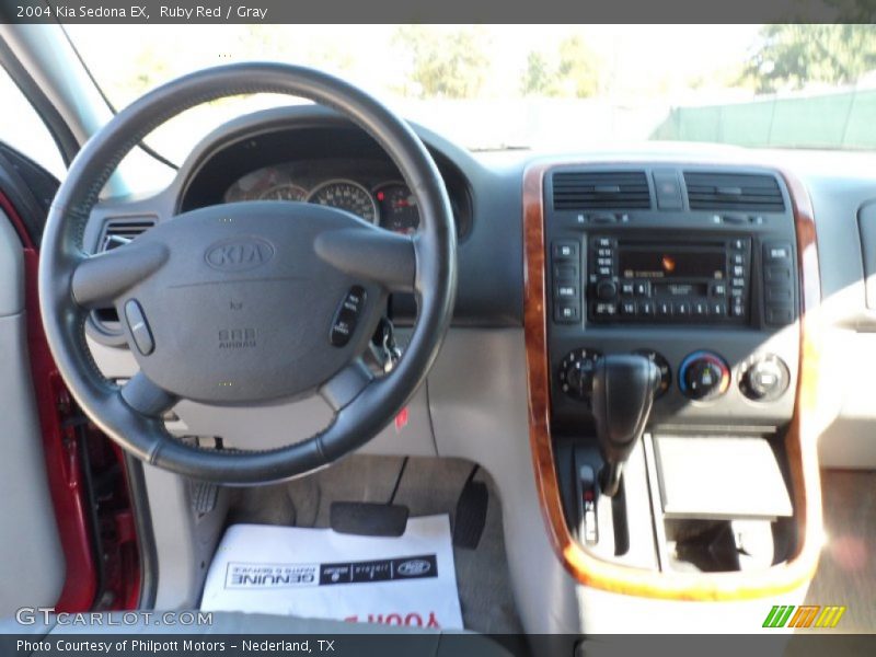 Ruby Red / Gray 2004 Kia Sedona EX
