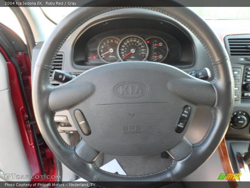 Ruby Red / Gray 2004 Kia Sedona EX