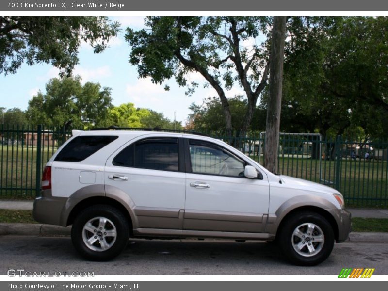  2003 Sorento EX Clear White