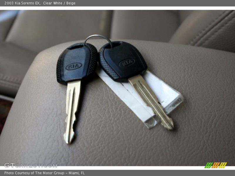 Clear White / Beige 2003 Kia Sorento EX