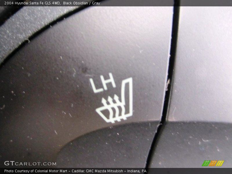 Black Obsidian / Gray 2004 Hyundai Santa Fe GLS 4WD