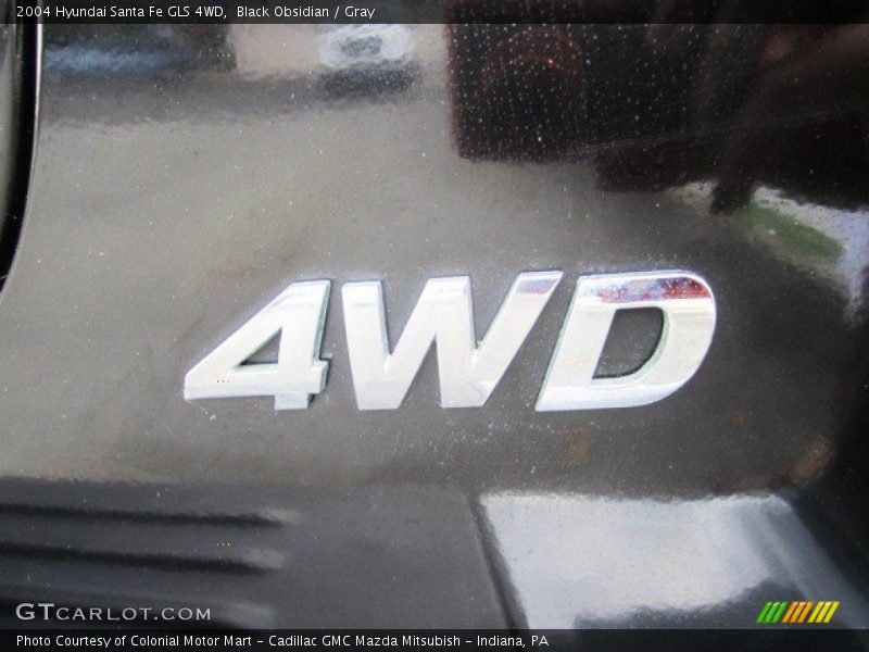 Black Obsidian / Gray 2004 Hyundai Santa Fe GLS 4WD